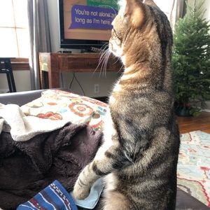 Meet your Posher, Alex